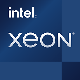 Intel Xeon W-1390P